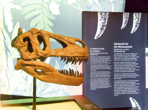 überLeben zwischen Dinos und Schuppenbäumen - LWL Museum für Naturkunde