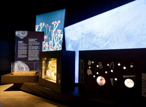 überLeben zwischen Dinos und Schuppenbäumen - LWL Museum für Naturkunde