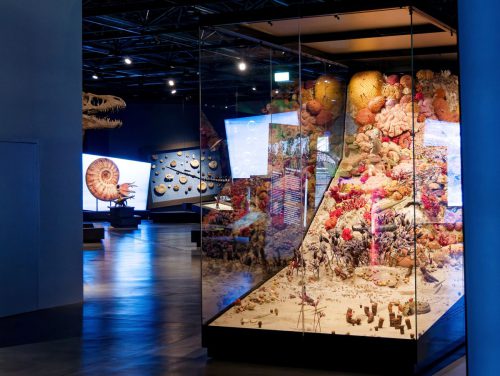 überLeben zwischen Dinos und Schuppenbäumen - LWL Museum für Naturkunde