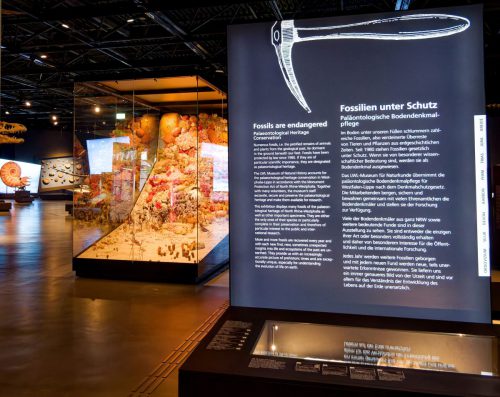 überLeben zwischen Dinos und Schuppenbäumen - LWL Museum für Naturkunde