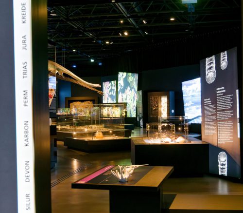überLeben zwischen Dinos und Schuppenbäumen - LWL Museum für Naturkunde