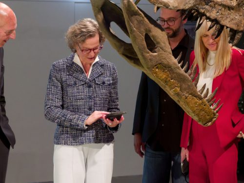 überLeben zwischen Dinos und Schuppenbäumen - LWL Museum für Naturkunde