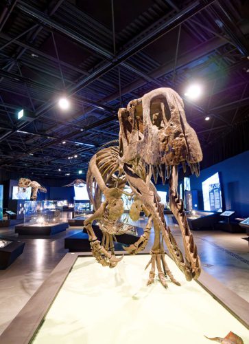 überLeben zwischen Dinos und Schuppenbäumen - LWL Museum für Naturkunde