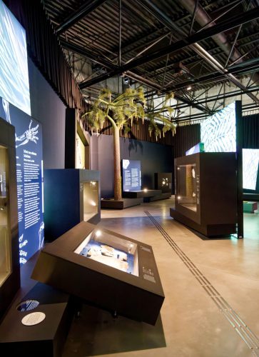 überLeben zwischen Dinos und Schuppenbäumen - LWL Museum für Naturkunde