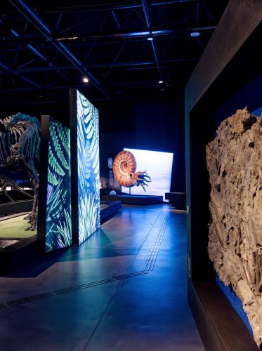 überLeben zwischen Dinos und Schuppenbäumen - LWL Museum für Naturkunde