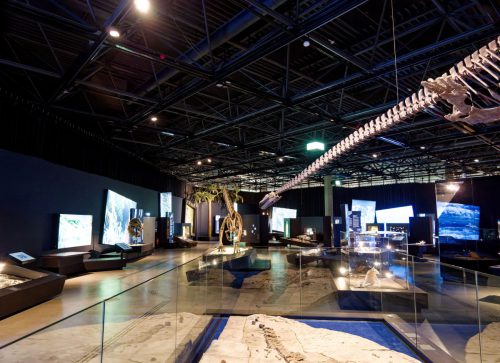 überLeben zwischen Dinos und Schuppenbäumen - LWL Museum für Naturkunde