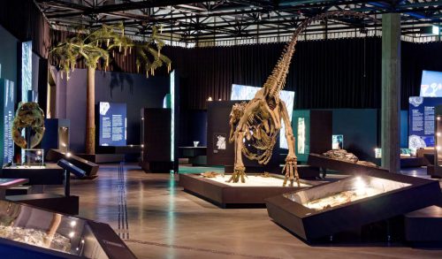überLeben zwischen Dinos und Schuppenbäumen - LWL Museum für Naturkunde