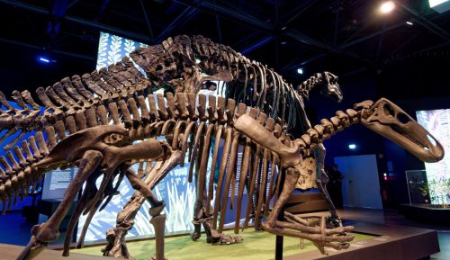 überLeben zwischen Dinos und Schuppenbäumen - LWL Museum für Naturkunde