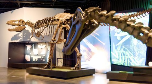 überLeben zwischen Dinos und Schuppenbäumen - LWL Museum für Naturkunde