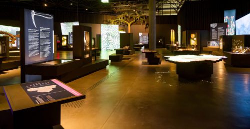 überLeben zwischen Dinos und Schuppenbäumen - LWL Museum für Naturkunde