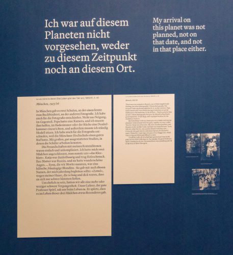 Germaine Krull: Chien Fou. Museum Folkwang