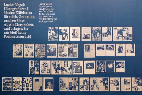 Germaine Krull: Chien Fou. Museum Folkwang