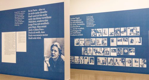 Germaine Krull: Chien Fou. Museum Folkwang