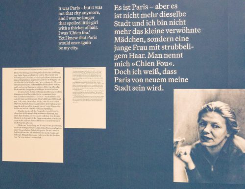 Germaine Krull: Chien Fou. Museum Folkwang