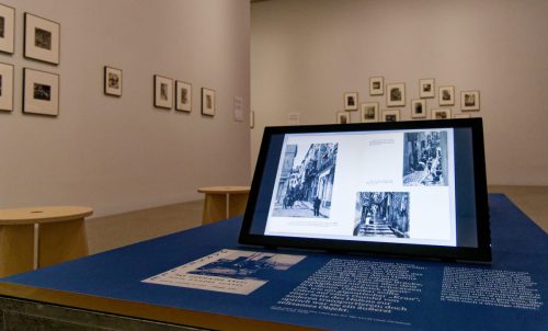 Germaine Krull: Chien Fou. Museum Folkwang