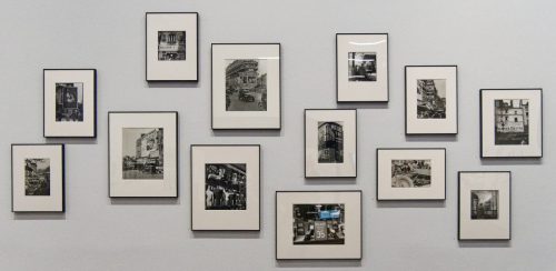 Germaine Krull: Chien Fou. Museum Folkwang