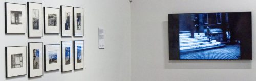 Germaine Krull: Chien Fou. Museum Folkwang