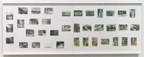 Germaine Krull: Chien Fou. Museum Folkwang