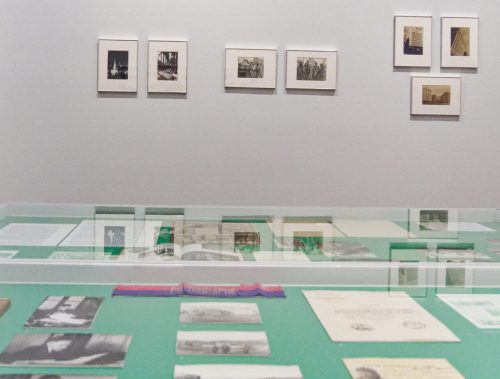 Germaine Krull: Chien Fou. Museum Folkwang