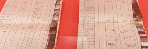 Germaine Krull: Chien Fou. Museum Folkwang