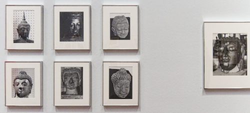 Germaine Krull: Chien Fou. Museum Folkwang