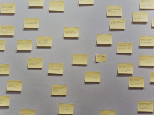 Germaine Krull: Chien Fou. Museum Folkwang