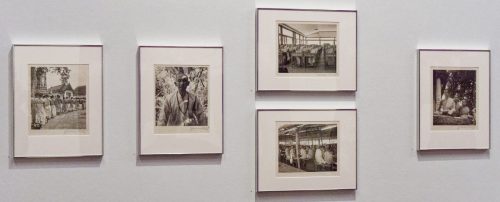 Germaine Krull: Chien Fou. Museum Folkwang