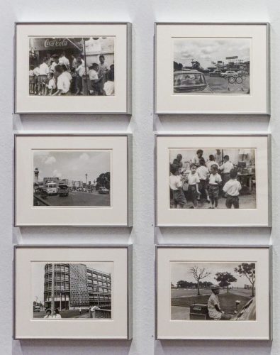 Germaine Krull: Chien Fou. Museum Folkwang