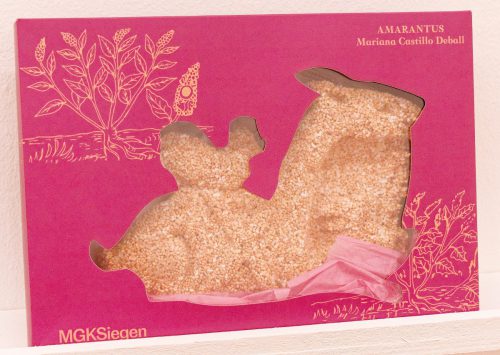 Museum für Gegenwartskunst - Mariana Castillo Deball