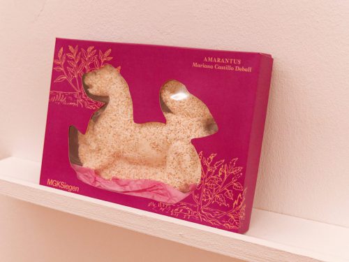 Museum für Gegenwartskunst - Mariana Castillo Deball