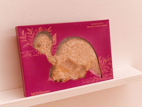 Museum für Gegenwartskunst - Mariana Castillo Deball