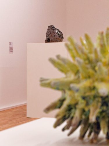 Museum für Gegenwartskunst Siegen - Anina Major