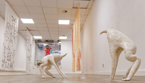 the curtains we live in