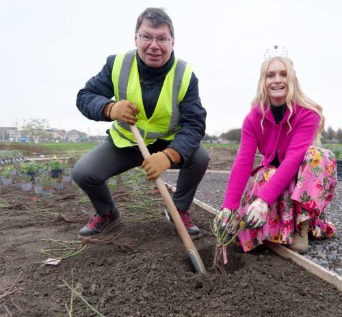 IGA 2027. Rheinpark Duisburg. Erste Rose wurde gepflanzt. Rosenkönigin Theresa Hildebrandt.
