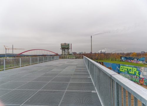 IGA 2027. Rheinpark Duisburg. Erste Rose wurde gepflanzt. Rosenkönigin Theresa Hildebrandt.