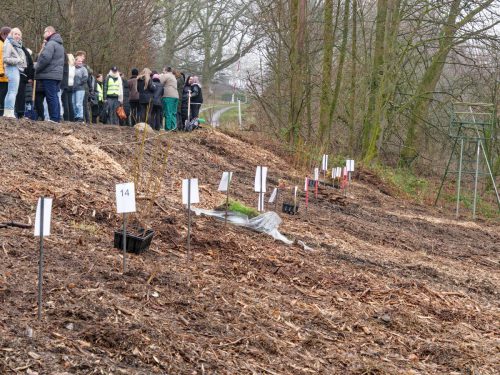 LWL-Klinik Hemer. Pflanzaktion Azubi-Bäume.