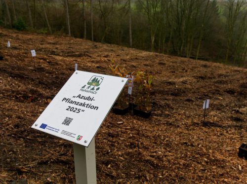 LWL-Klinik Hemer. Pflanzaktion Azubi-Bäume.