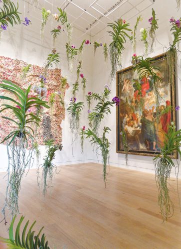 Palastblühen 2026 - Kunstpalast Düsseldorf in voller Blüte