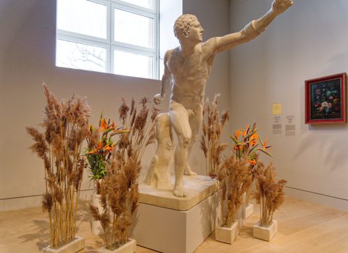 Palastblühen 2026 - Kunstpalast Düsseldorf in voller Blüte