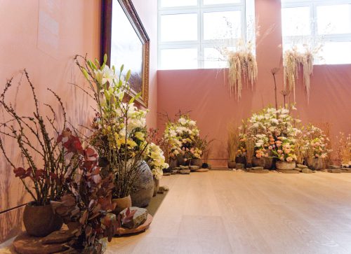 Palastblühen 2026 - Kunstpalast Düsseldorf in voller Blüte