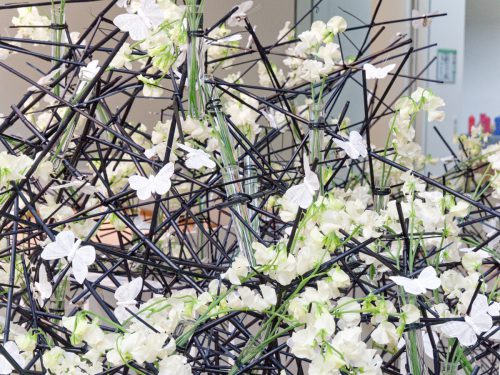 Palastblühen 2026 - Kunstpalast Düsseldorf in voller Blüte