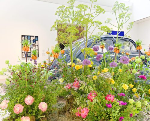 Palastblühen 2026 - Kunstpalast Düsseldorf in voller Blüte