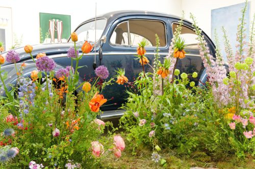 Palastblühen 2026 - Kunstpalast Düsseldorf in voller Blüte