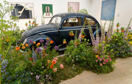 Palastblühen 2026 - Kunstpalast Düsseldorf in voller Blüte