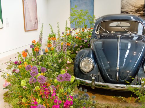 Palastblühen 2026 - Kunstpalast Düsseldorf in voller Blüte