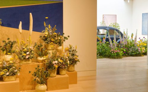 Palastblühen 2026 - Kunstpalast Düsseldorf in voller Blüte