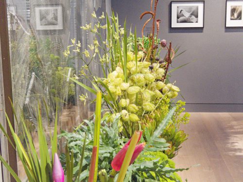 Palastblühen 2026 - Kunstpalast Düsseldorf in voller Blüte