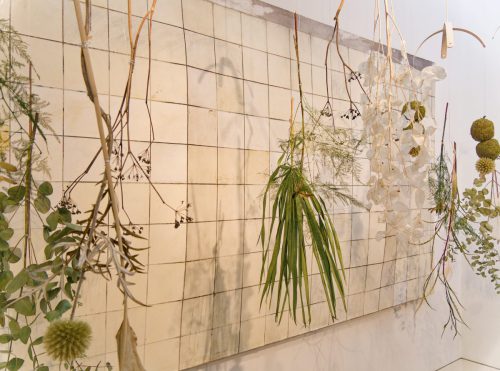 Palastblühen 2026 - Kunstpalast Düsseldorf in voller Blüte