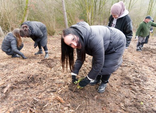 LWL-Klinik Hemer. Pflanzaktion Azubi-Bäume.