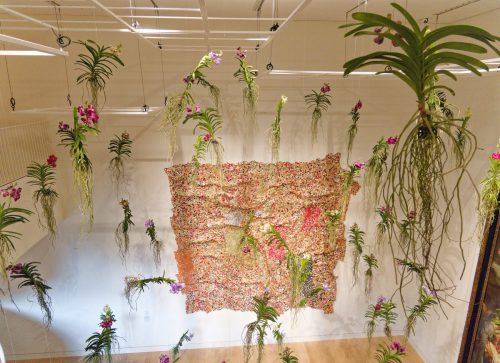 Palastblühen 2026 - Kunstpalast Düsseldorf in voller Blüte